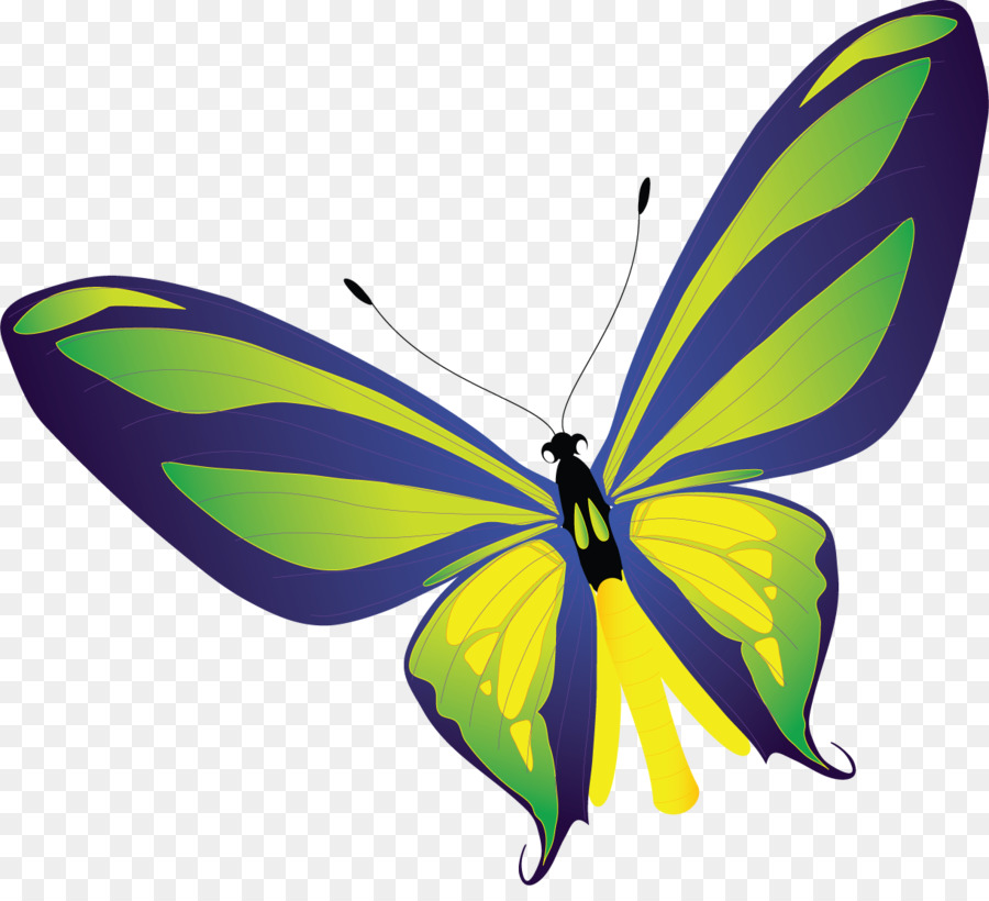 La Mariposa Monarca，Mariposa PNG