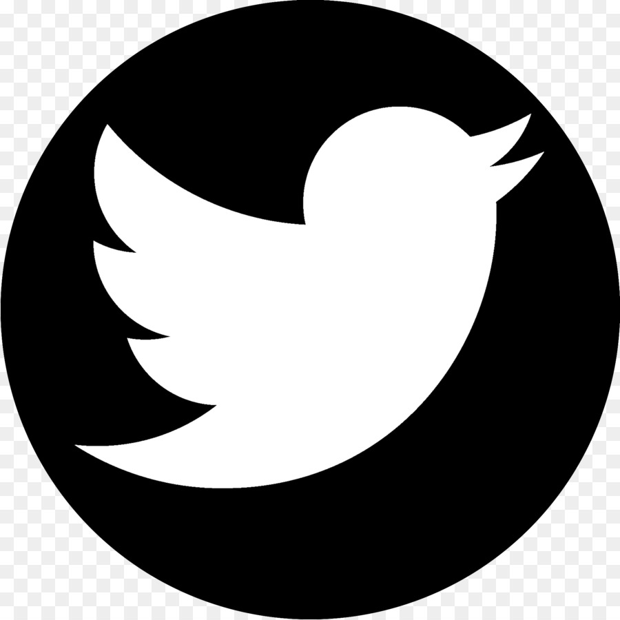 Logotipo De Twitter，Pájaro PNG