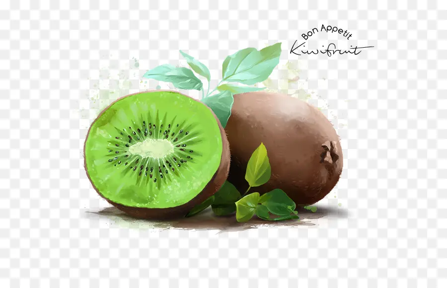 Kiwi，Una Fotografía De Stock PNG