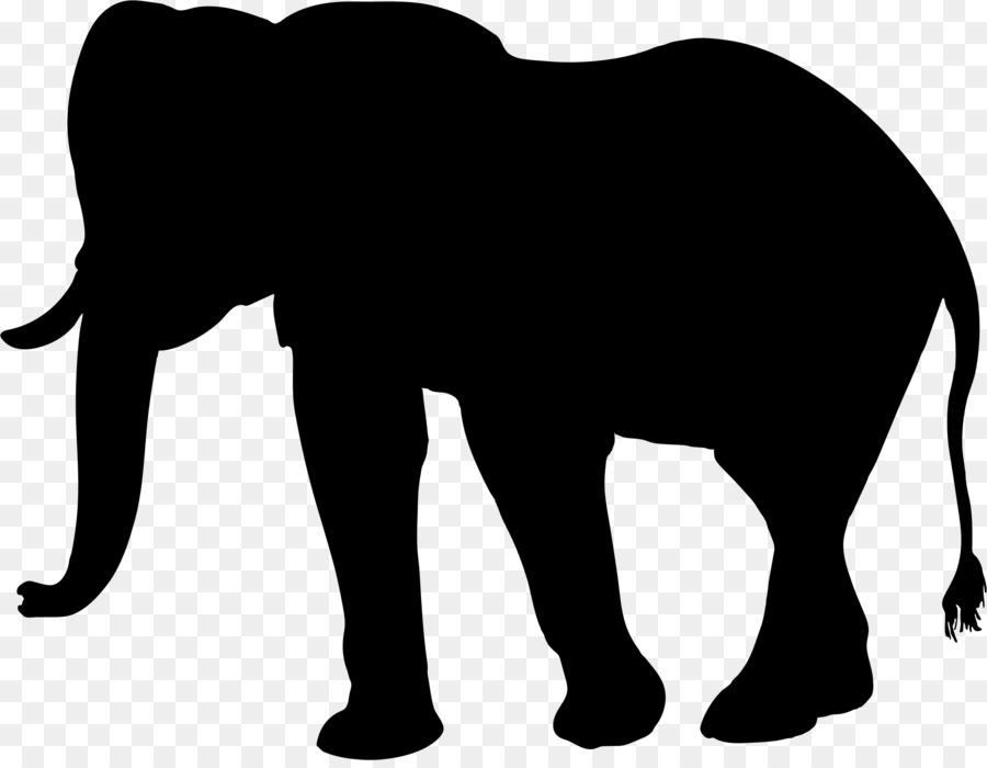 El Elefante Africano，Elefante Asiático PNG