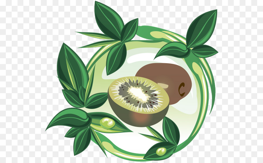 La Fruta，Albaricoque PNG