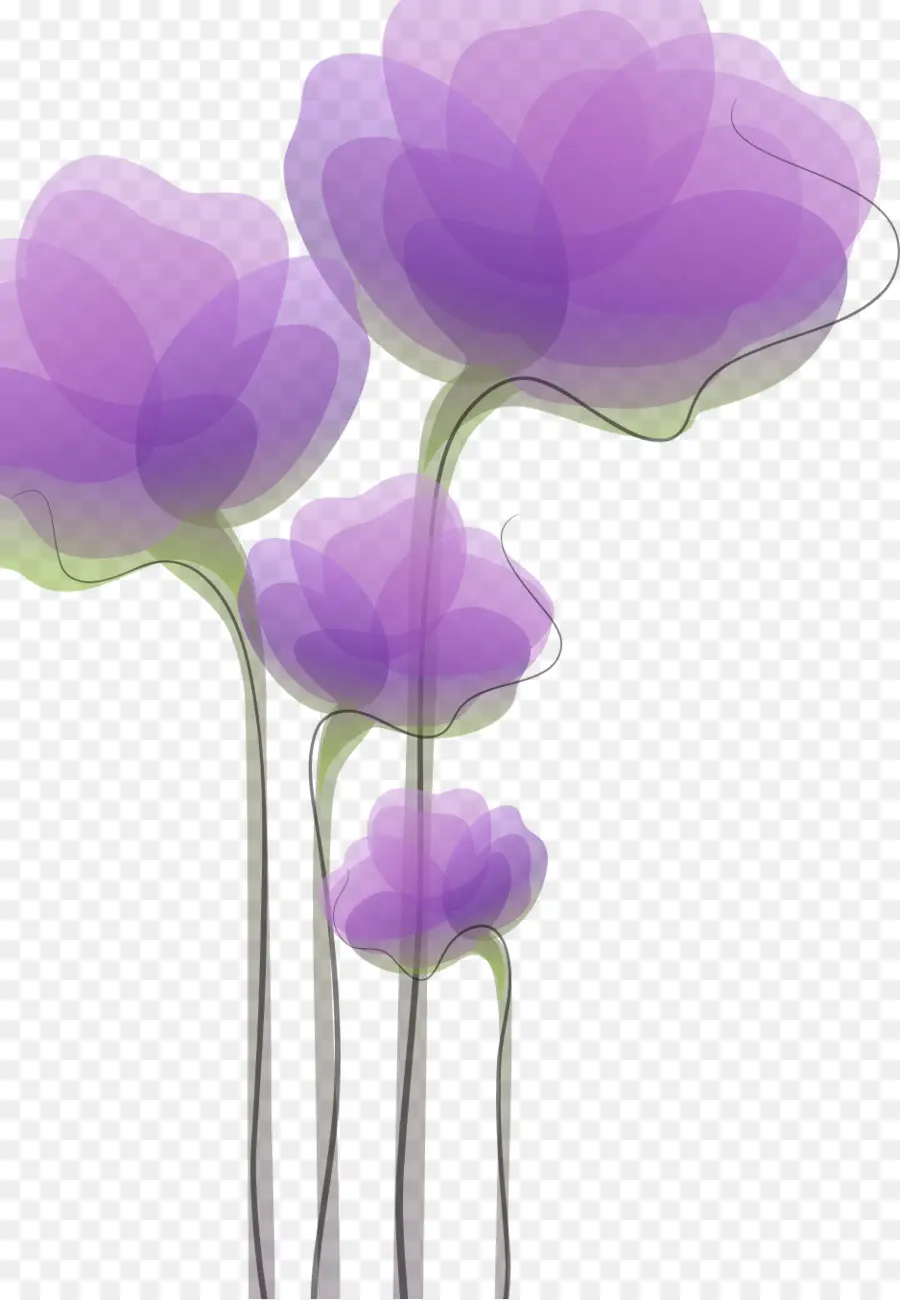 Flores Moradas，Florecer PNG