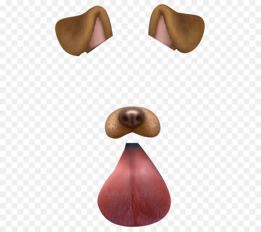 Perro Dálmata，Snapchat PNG