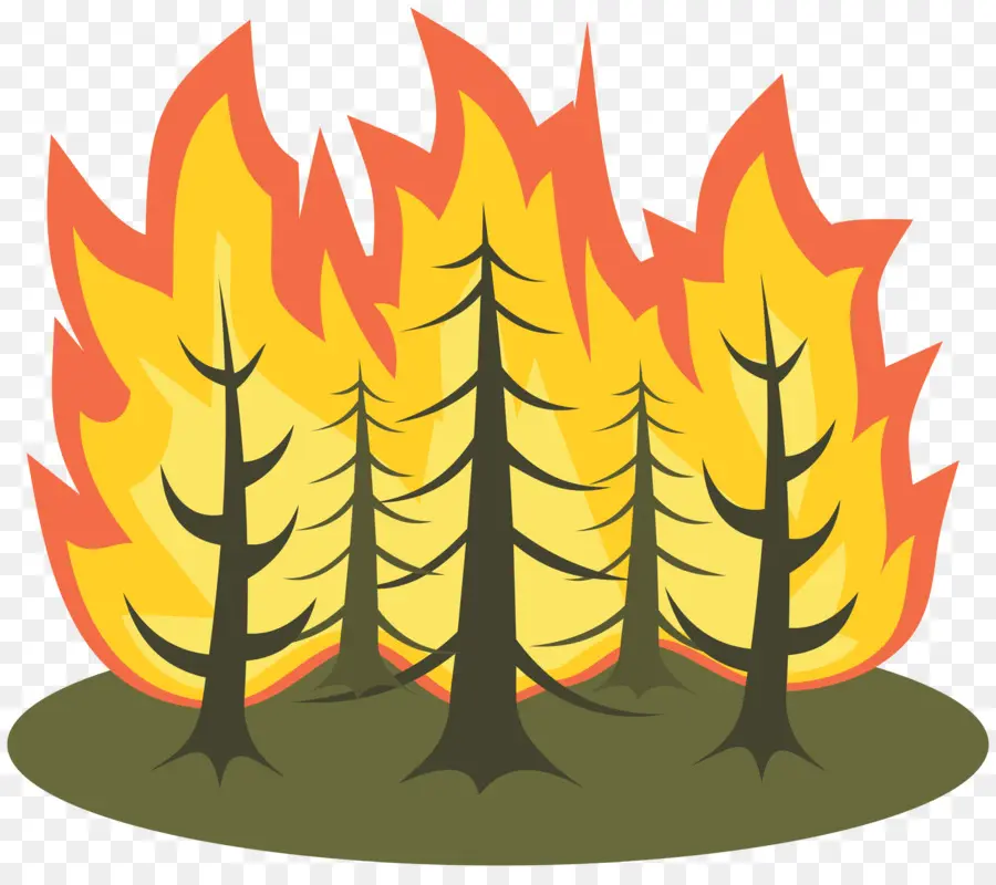 Wildfire，Fuego PNG