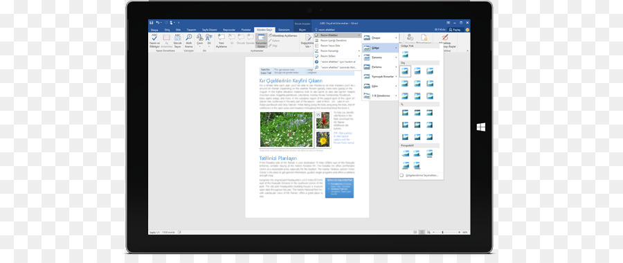 Microsoft Office 365，Microsoft Word PNG