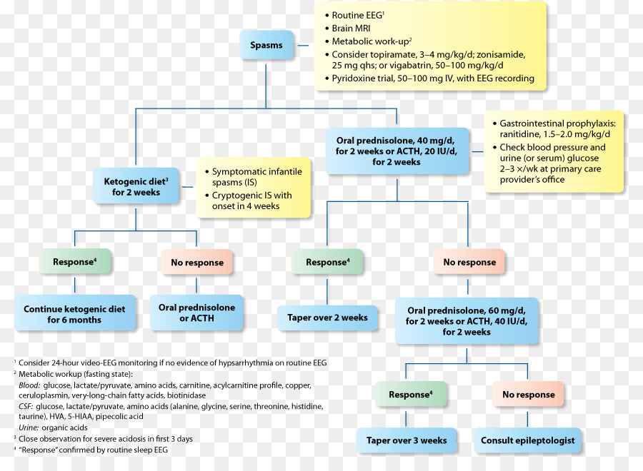 Diagrama De Flujo，Proceso PNG