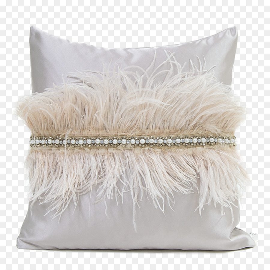 Almohada Decorativa，Plumas PNG