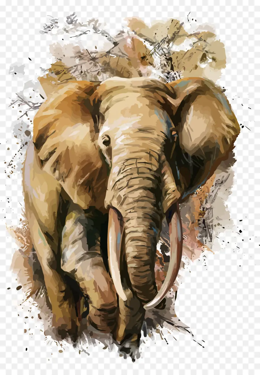 Pintura A La Acuarela，Elefante PNG