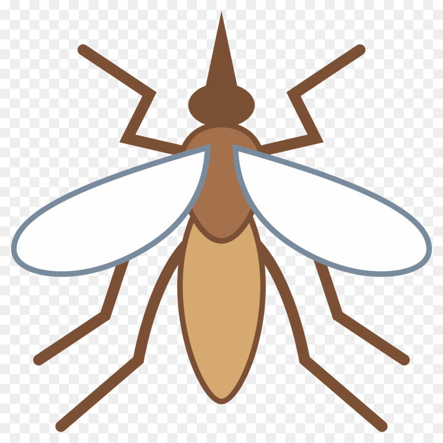 Mosquito，Alas PNG