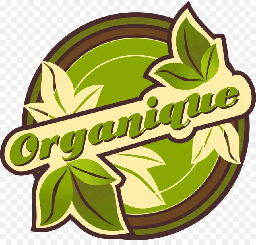 Logotipo，La Floración De La Planta PNG