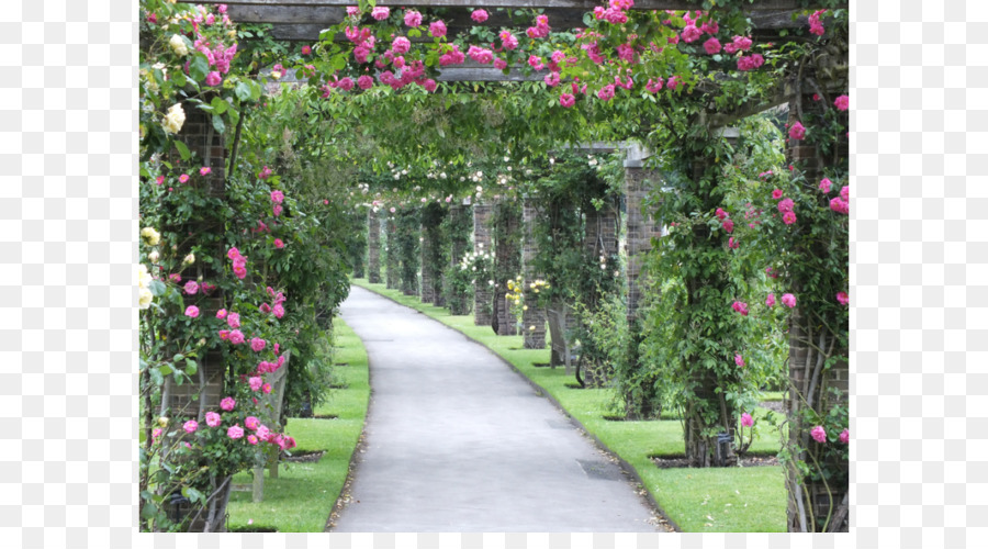 Pérgola，Jardín PNG