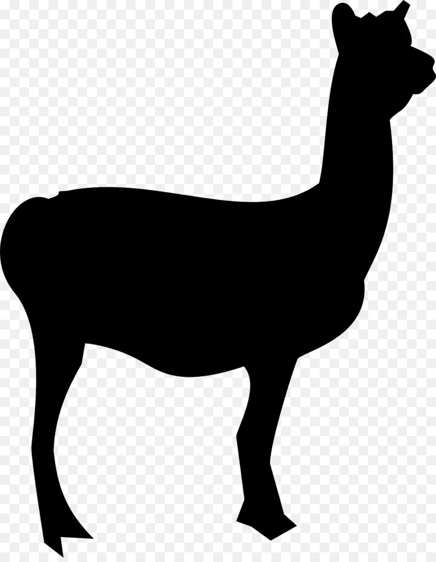 Silueta De Llama，Describir PNG