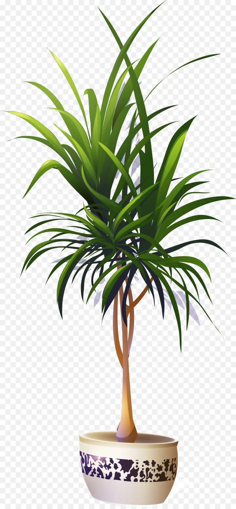 Arecaceae，Planta De Interior PNG