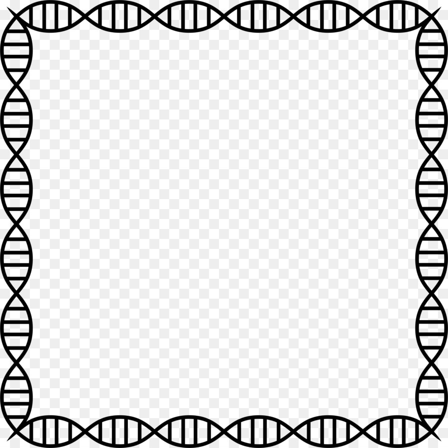 El ácido Nucleico De Doble Hélice，Adn PNG