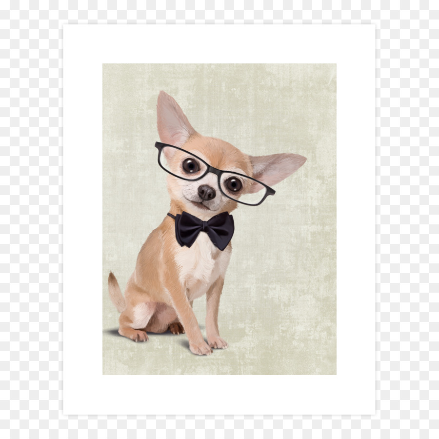 Chihuahua，Cachorro PNG