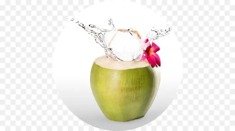 Agua De Coco，Coco PNG