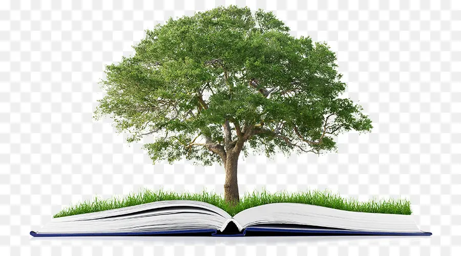 árbol Y Libro，Naturaleza PNG