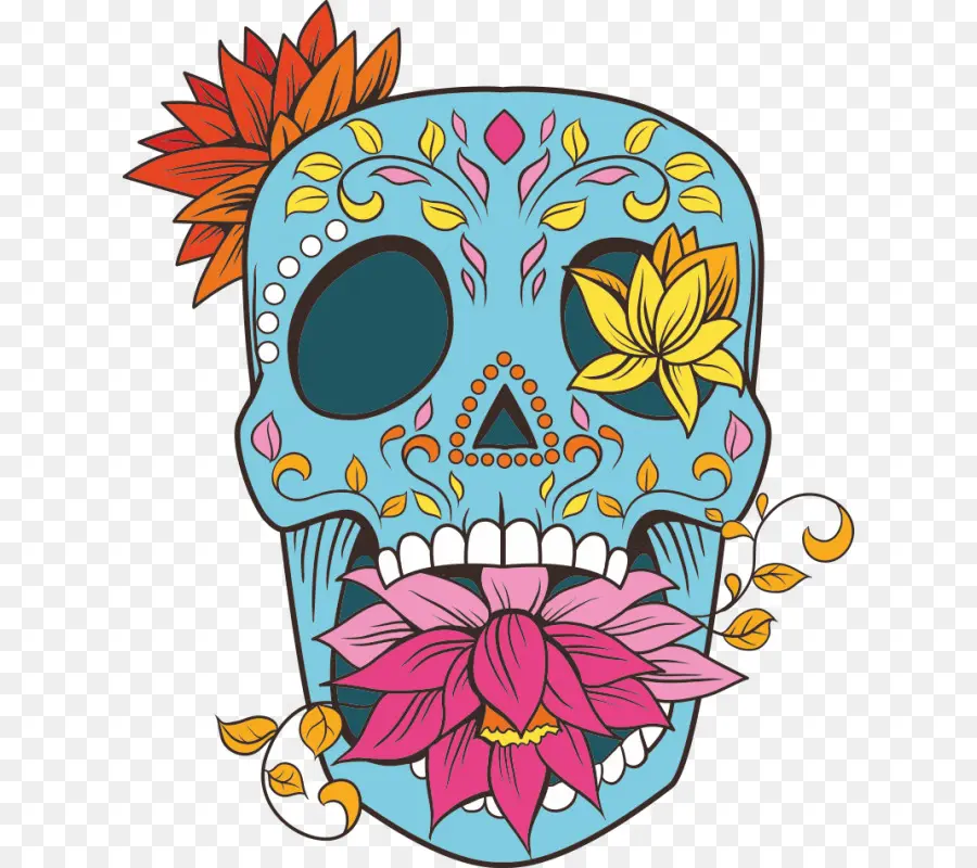 Calavera，Cráneo PNG