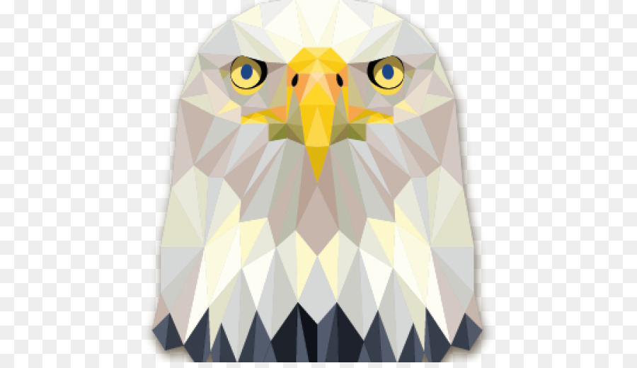 águila Calva，águila PNG