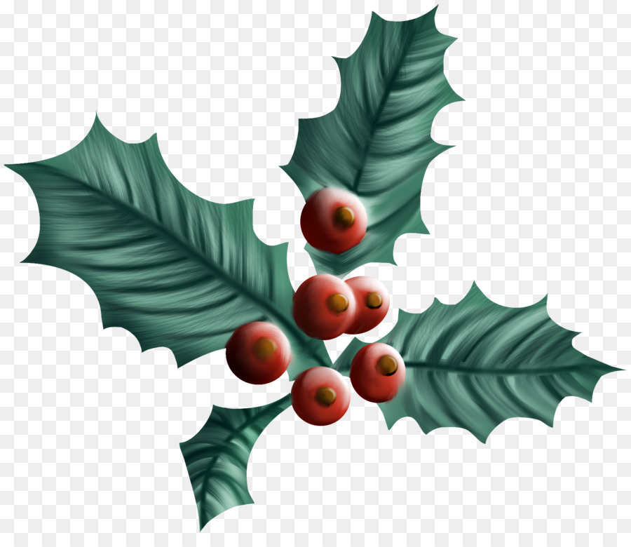 Hojas De Acebo，Navidad PNG