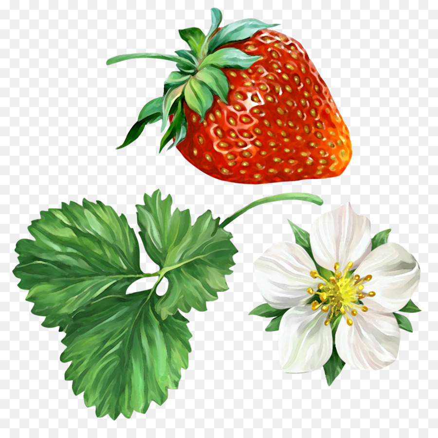 Fresas，Rojo PNG