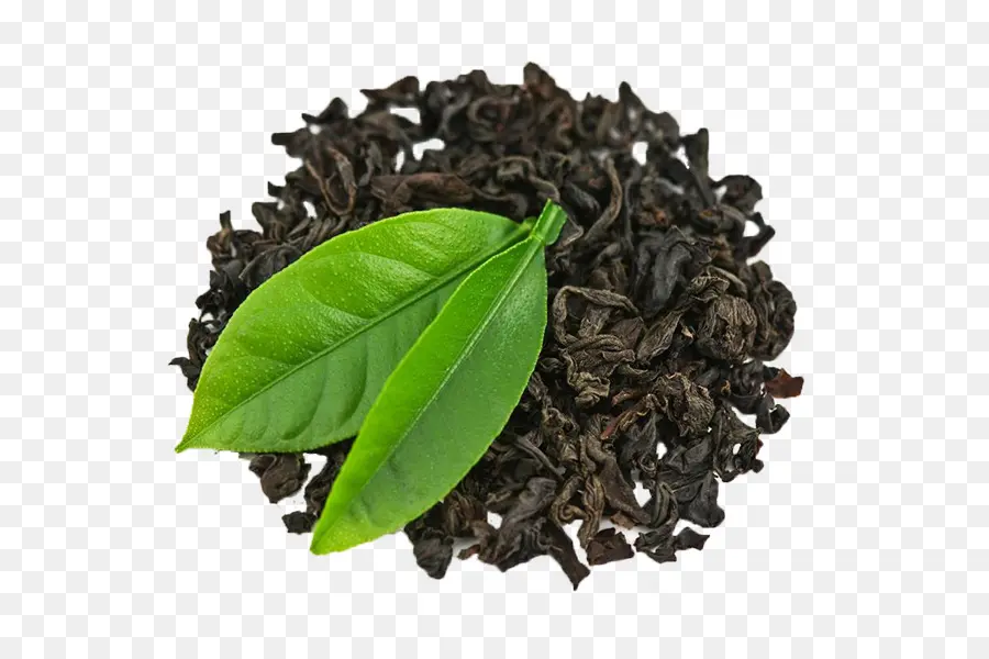 Té，Té Verde PNG