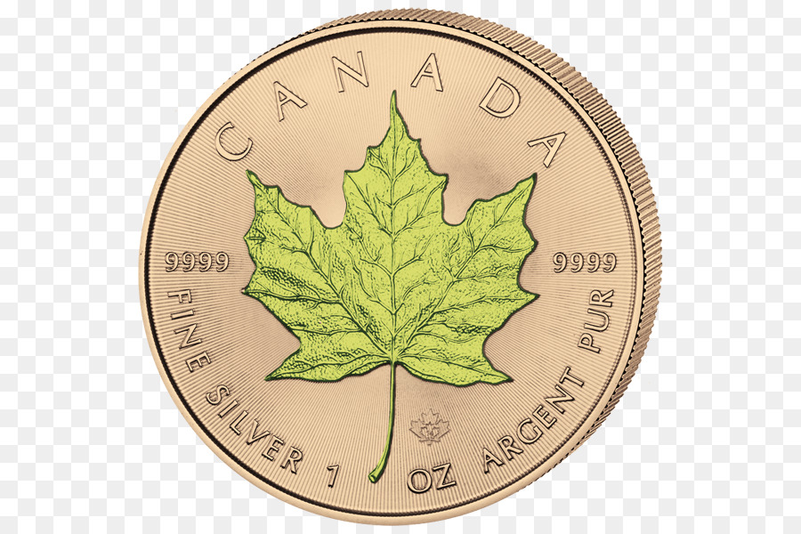 Canadá，Canadiense De Oro De La Hoja De Arce PNG