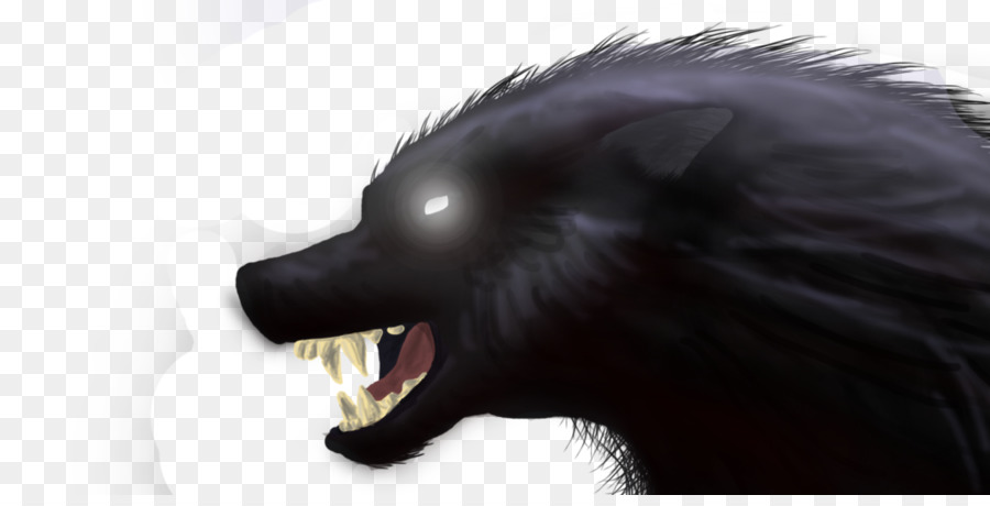 Lobo Negro，Hocico PNG