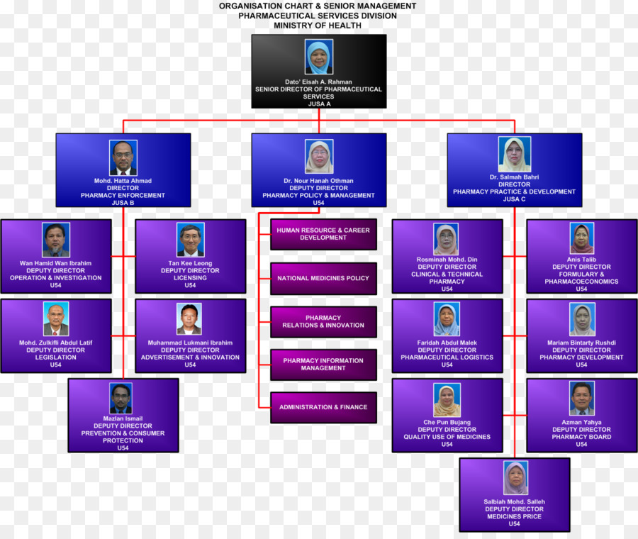 Organigrama，Estructura PNG