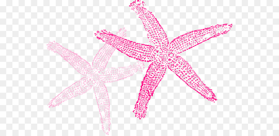 Estrella De Mar，Color PNG