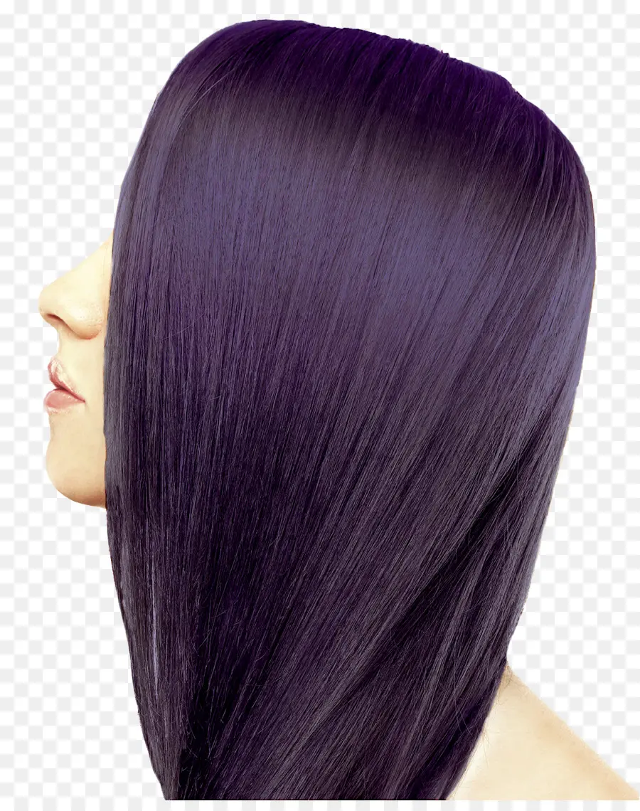 Color，Cabello Humano Color PNG