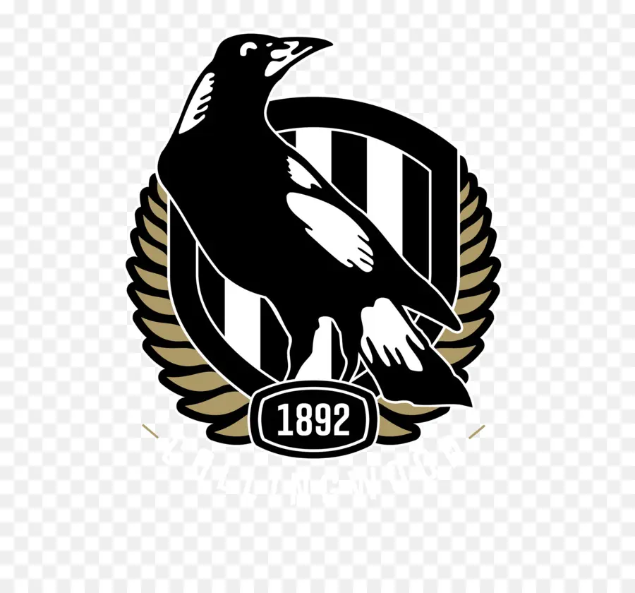 Collingwood Club De Fútbol，La Liga Australiana De Fútbol PNG