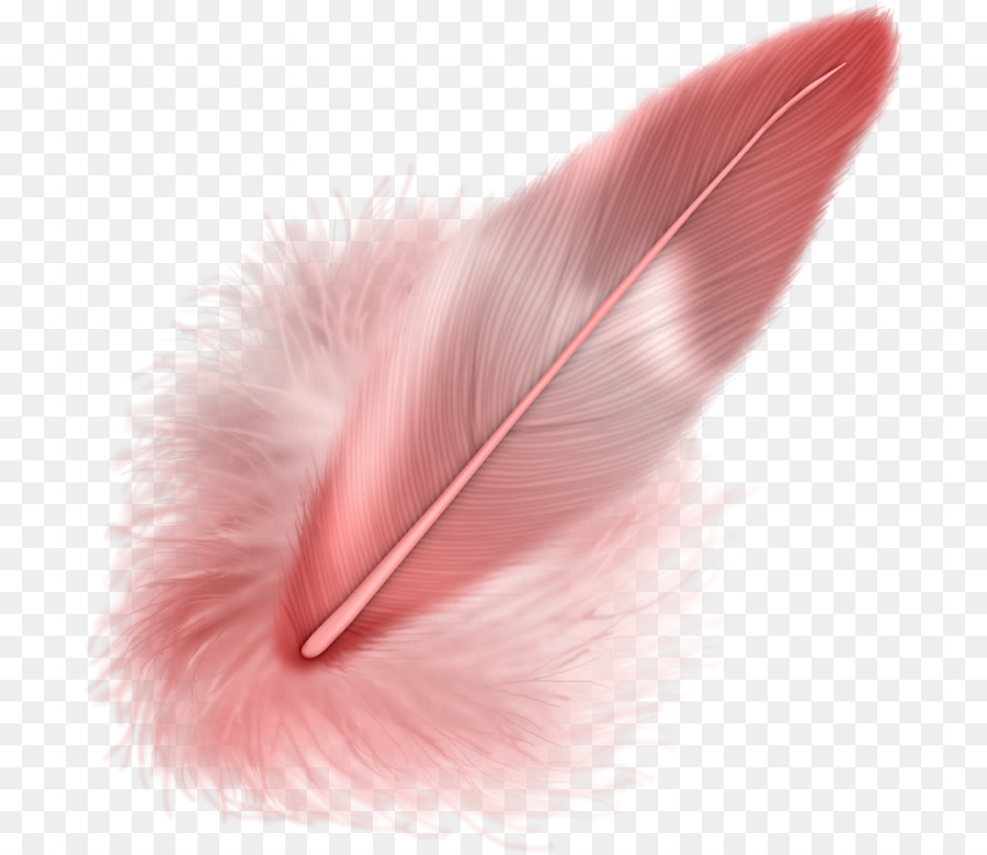 Pluma，Descargar PNG