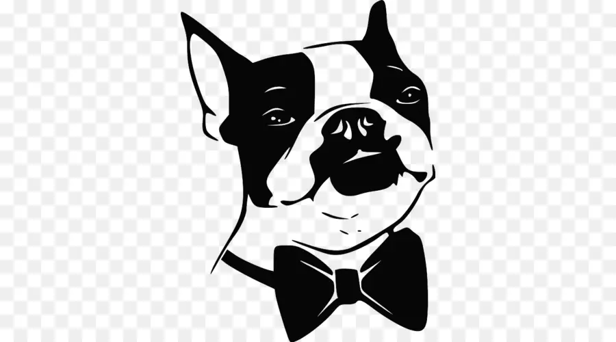 Boston Terrier，Bulldog Francés PNG