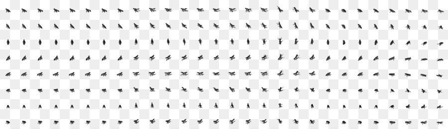 Aves，Vuelo PNG