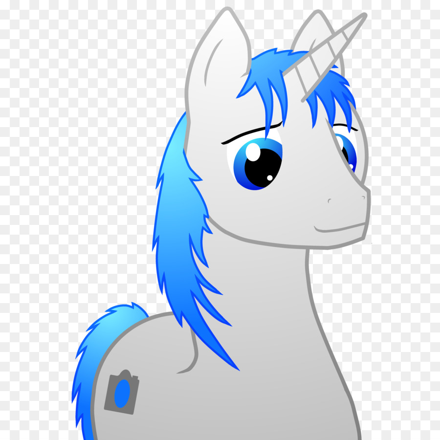 Pony，Caballo PNG