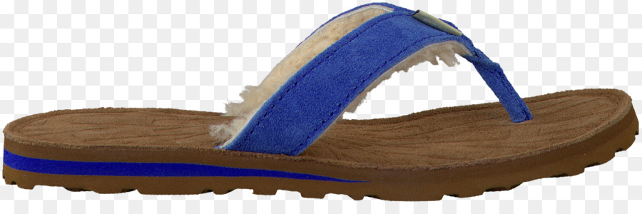 Flipflops，Zapato PNG