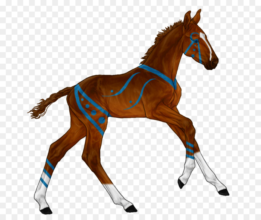 Caballo Corriendo，Animal PNG