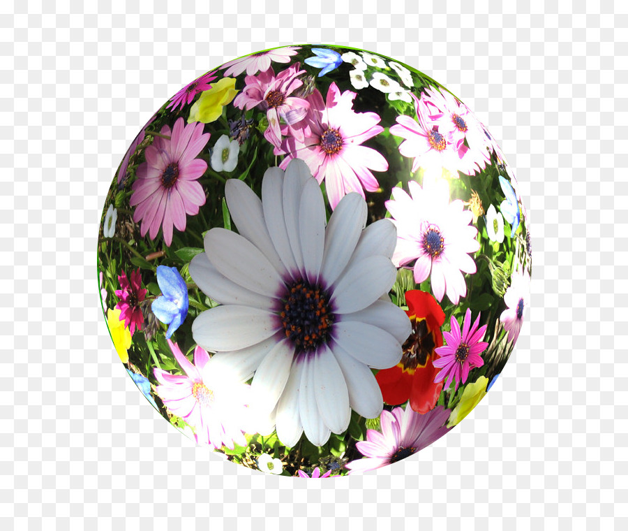 Flor，Mundo PNG