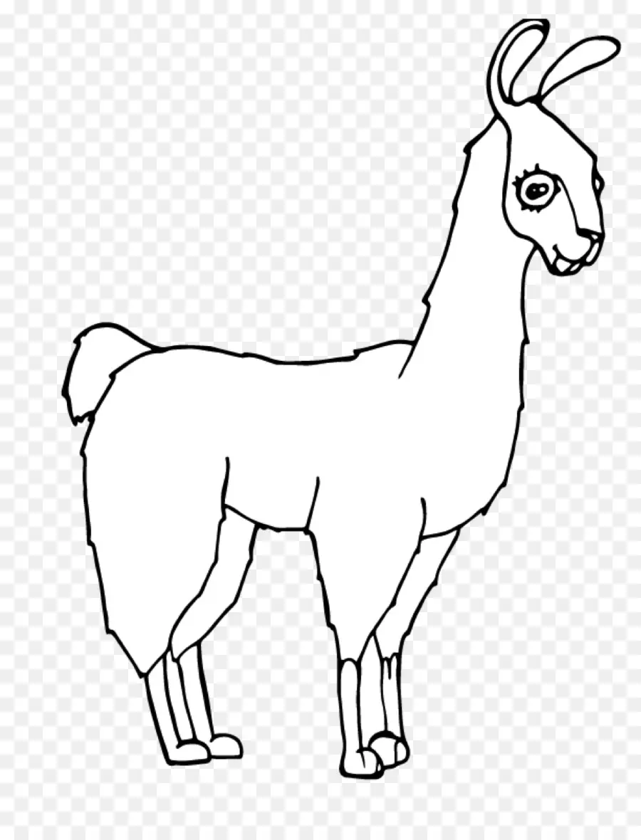 Llama，Animal Pack PNG