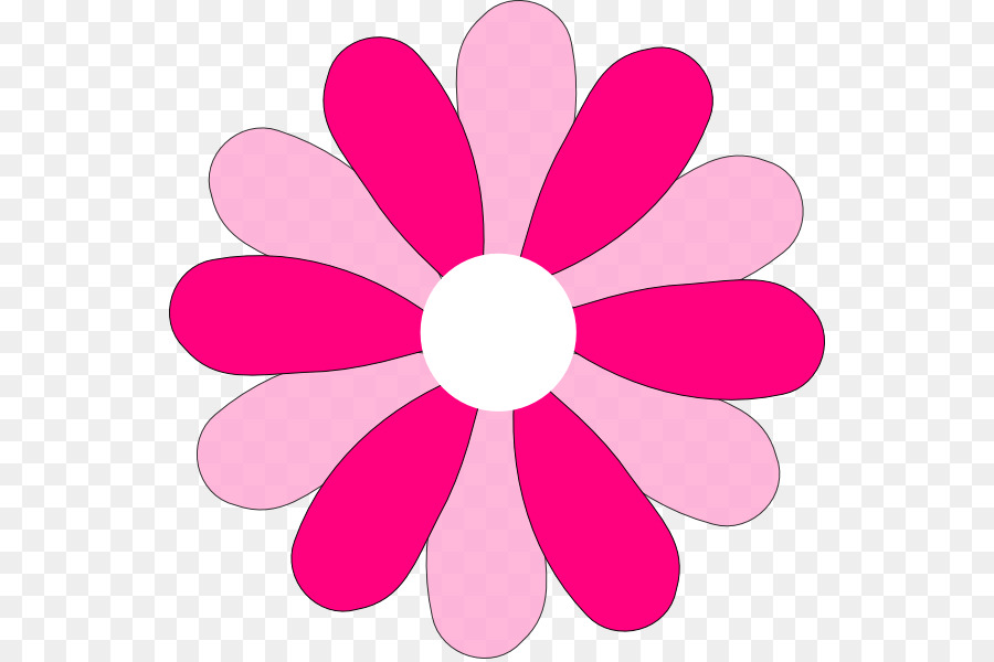 Común Daisy，Rosa PNG