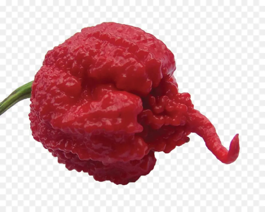 Carolina Reaper，Habanero PNG