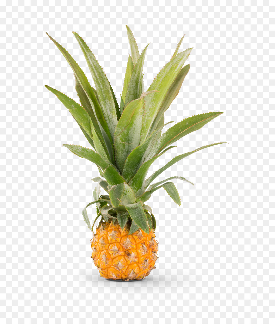 Piña，Helado PNG