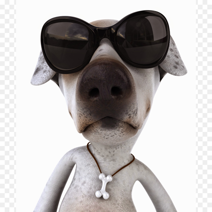 Jack Russell Terrier，Cachorro PNG