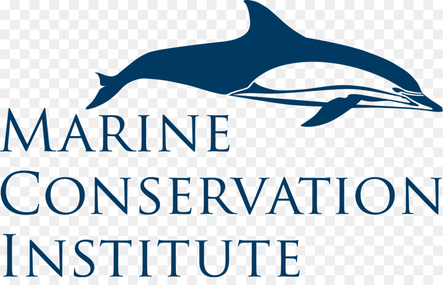 Mundial De Los Océanos，De Conservación Marina PNG