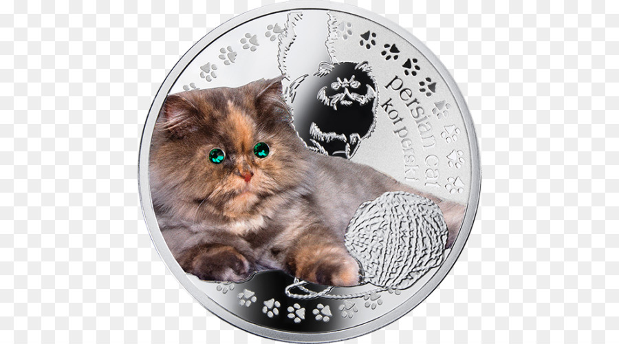 Gato Persa，Moneda PNG