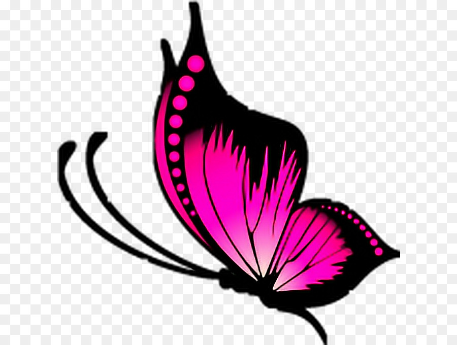 Gratis，Mariposa PNG