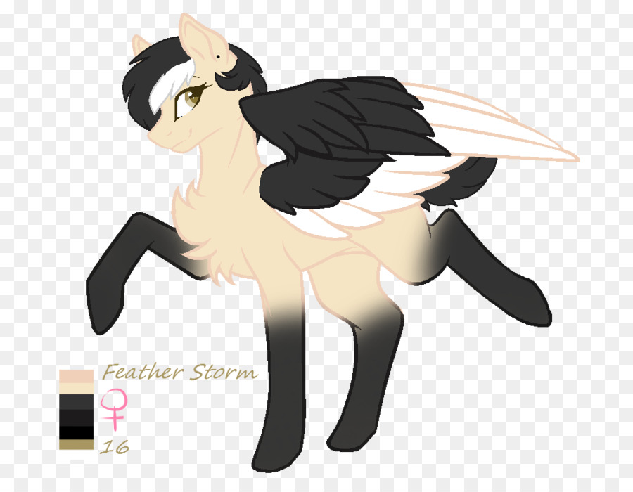 Pony，Arte PNG