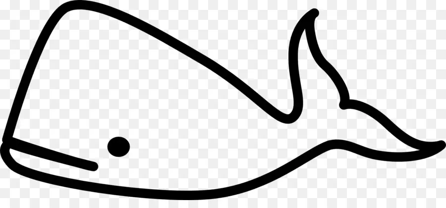 En Blanco Y Negro，Ballena Beluga PNG