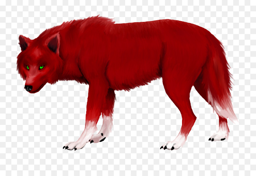 Zorro Rojo，Lobo Rojo PNG